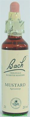 Bach Agersennep (Mustard)